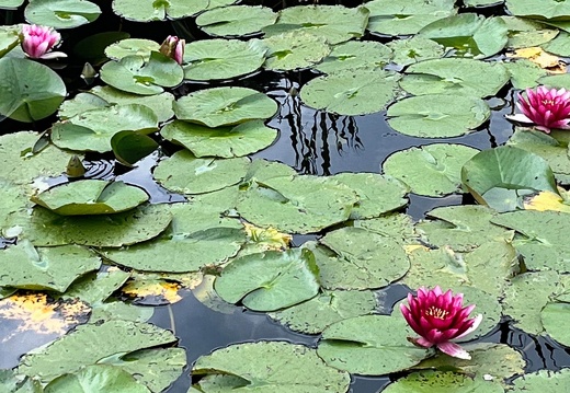 22-07-07 12-10-29 1501